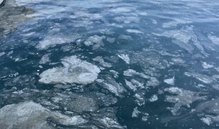 Çanakkale Boğazı’nda müsilaj etkisini kaybetti