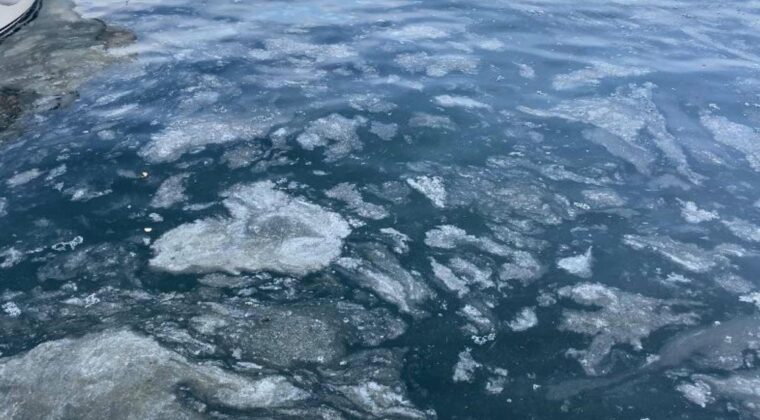 Çanakkale Boğazı’nda müsilaj etkisini kaybetti