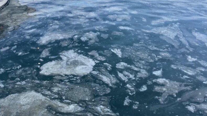 Çanakkale Boğazı’nda müsilaj etkisini kaybetti