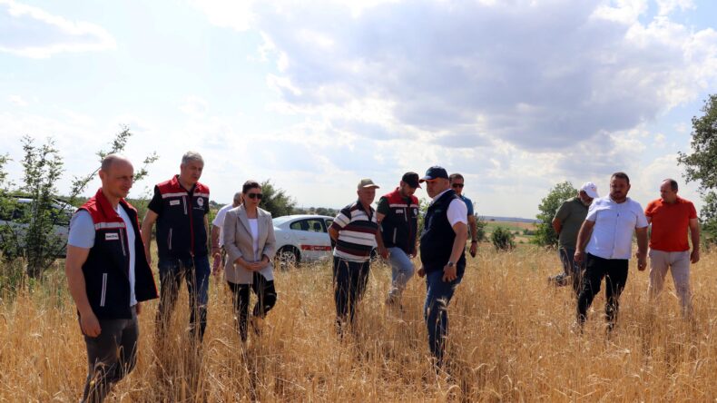 Edirne’de dolu 10 bin dekar buğday ve ayçiçeği tarlasına zarar verdi