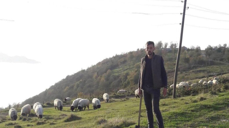 Gümüşhane’de kenenin ısırdığı çoban öldü