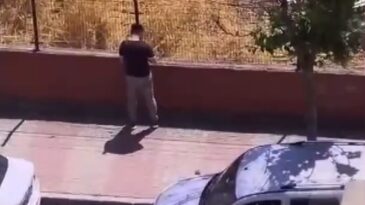 İstanbul – Küçükçekmece’de otluk alanı yakan şüpheli tutuklandı