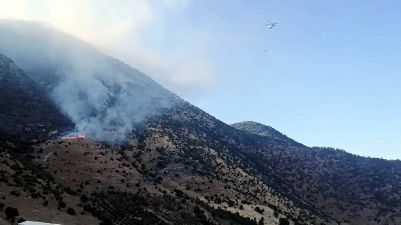 Kahramanmaraş’ta 2 ayrı orman yangın (2)
