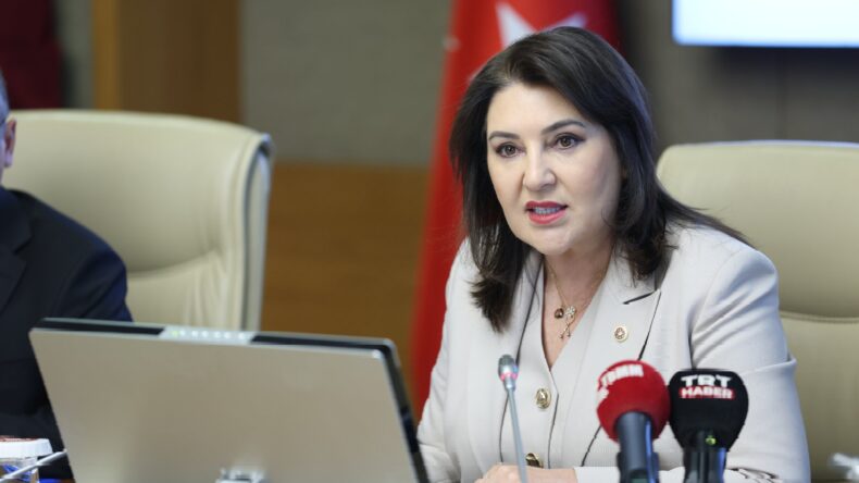 Kamu Denetçiliği Kurumu’nun yıllık raporu kabul edildi