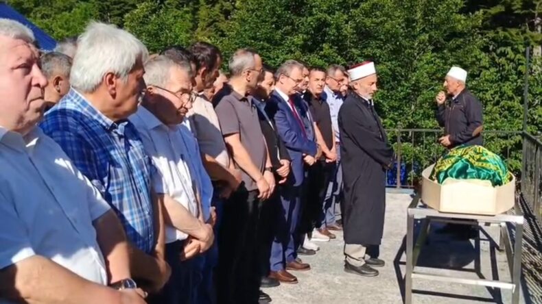 Trabzon’da arıların soktuğu eski muhtar öldü (2)