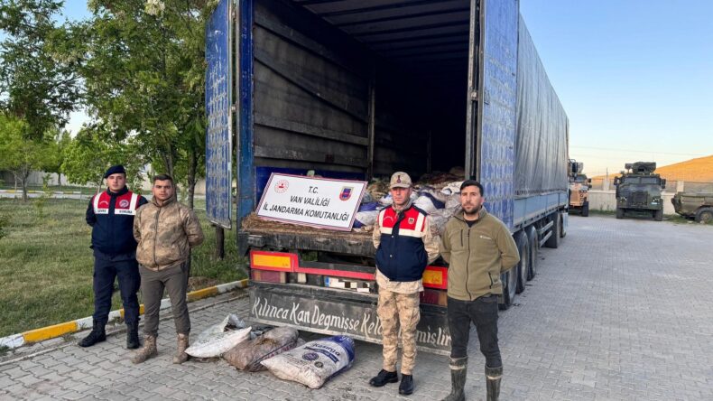 Van’da 19 ton ölü inci kefali ele geçirildi